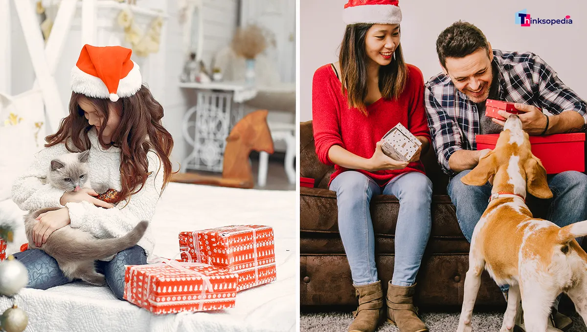 best christmas gifts for cats and dogs